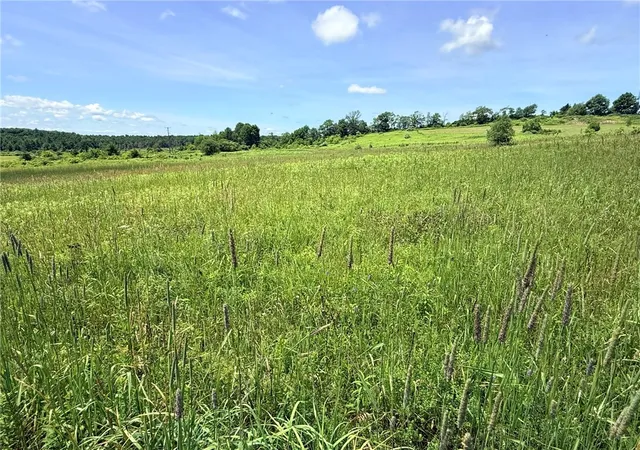 4th image of L19 N Pond Rd, Guilford, NY 13780 | MLS# R1697946