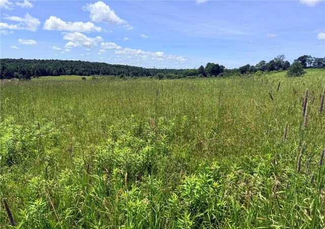 5th image of L19 N Pond Rd, Guilford, NY 13780 | MLS# R1697946