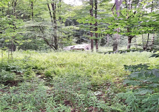 1st image of Cassio Rd, Redfield, NY 13493 | MLS# S1695868
