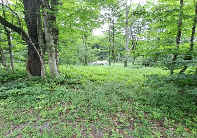 Photo 3 of Sale Pending at Cassio Rd, Redfield, NY 13493 | MLS# S1695868 | Listing updated on 2026-07-28