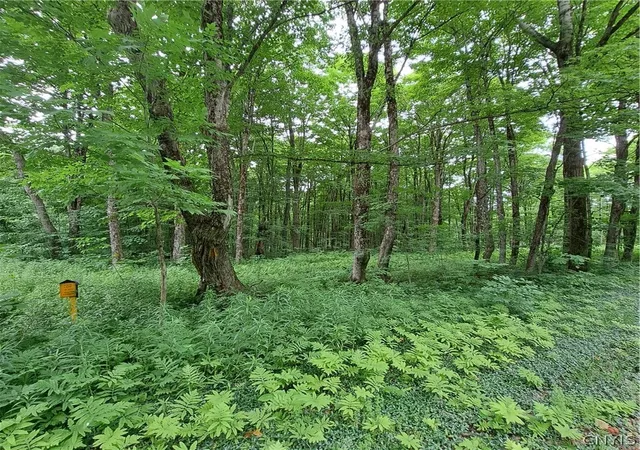 9th image of Cassio Rd, Redfield, NY 13493 | MLS# S1695868