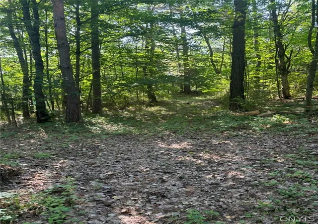 Photo 1 of Land for sale at 0 Maple St, Harrisville, NY 13648 | MLS# S1697493 | Listing updated on 2026-07-16