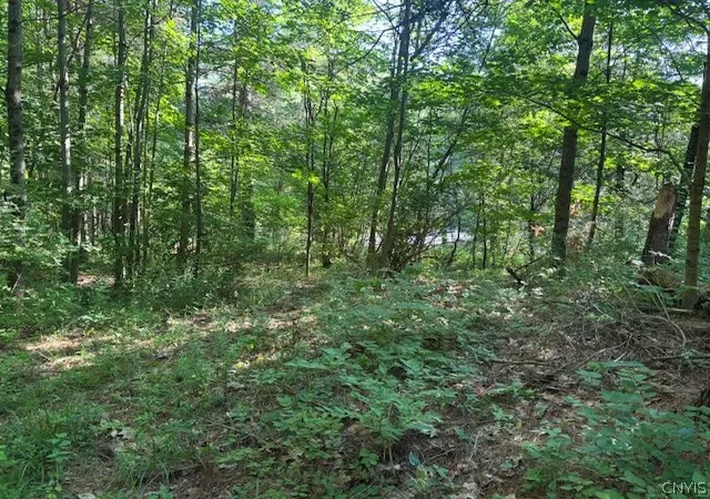 Photo 9 of Land for sale at 0 Maple St, Harrisville, NY 13648 | MLS# S1697493 | Listing updated on 2026-07-16