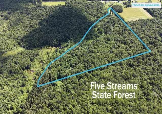 1st image of Polp * Rabbit Path (polp: 409 Cty Rd 5), German, NY 13801 | MLS# R1698407