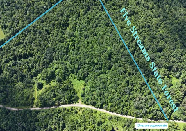 3rd image of Polp * Rabbit Path (Polp: 409 Cty Rd 5), German, NY 13801 | MLS# R1698407