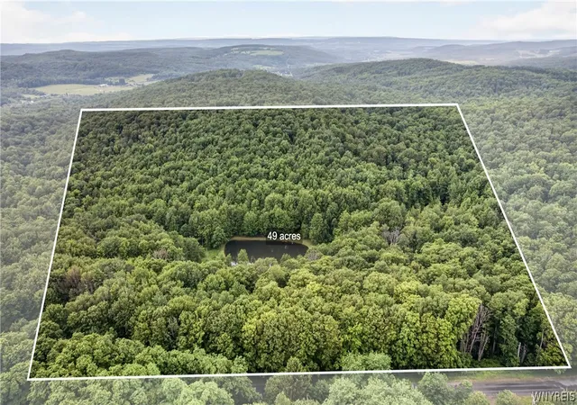 48th image of 8719 Rohr Hill Rd, West Valley, NY 14171 | MLS# B1697900