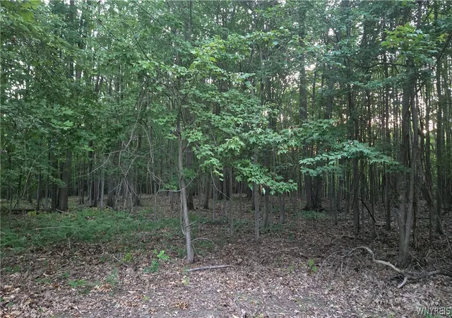 5th image of 6194 Chestnut Ridge Rd, Orchard Park, NY 14127 | MLS# B1698509