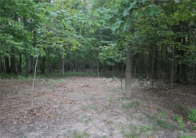 6th image of 6194 Chestnut Ridge Rd, Orchard Park, NY 14127 | MLS# B1698509