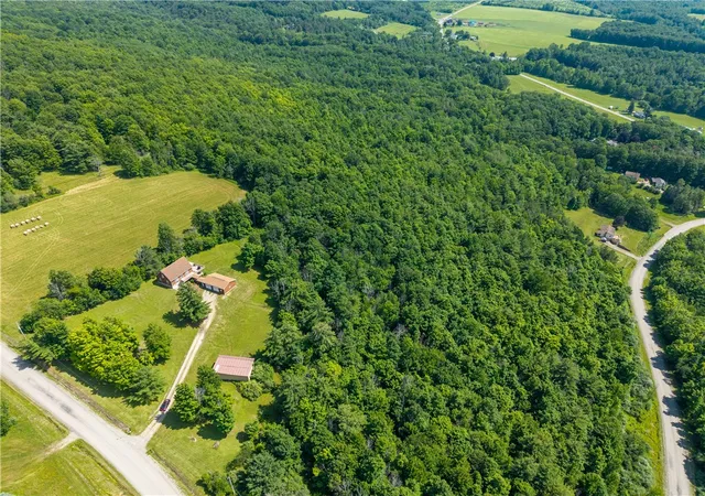 50th image of 1560 Day Rd, Arkport, NY 14807 | MLS# R1697143