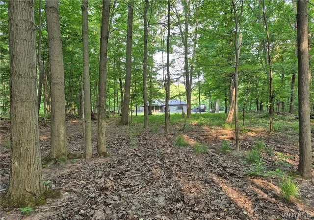 48th image of 140 Roby St, Lockport, NY 14094 | MLS# B1698347