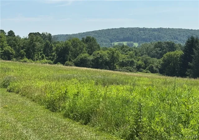 2nd image of 2 Bonney Hill Rd Rd, Hamilton, NY 13346 | MLS# S1698500