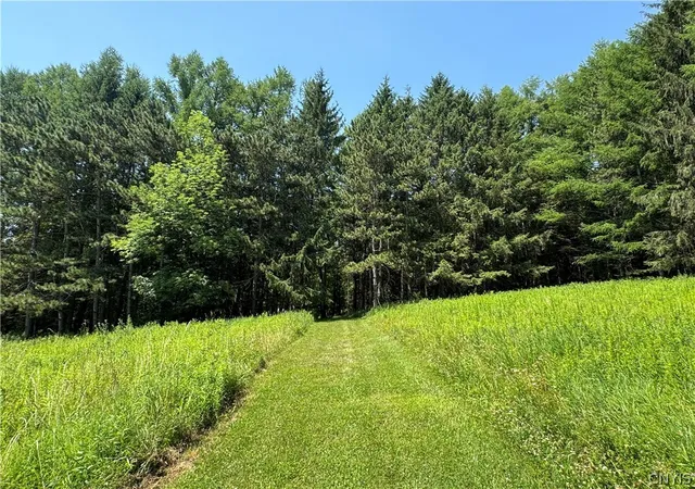 3rd image of 2 Bonney Hill Rd Rd, Hamilton, NY 13346 | MLS# S1698500
