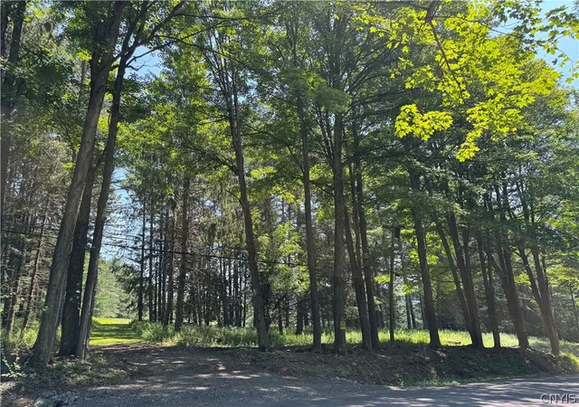 4th image of 2 Bonney Hill Rd Rd, Hamilton, NY 13346 | MLS# S1698500