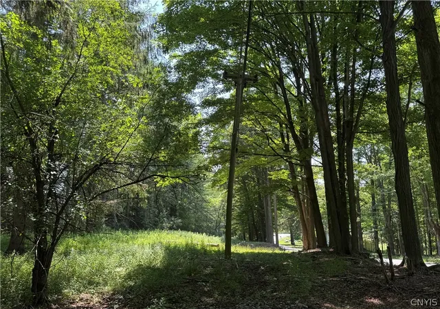 1st image of 1 Bonney Hill Rd, Hamilton, NY 13346 | MLS# S1693515