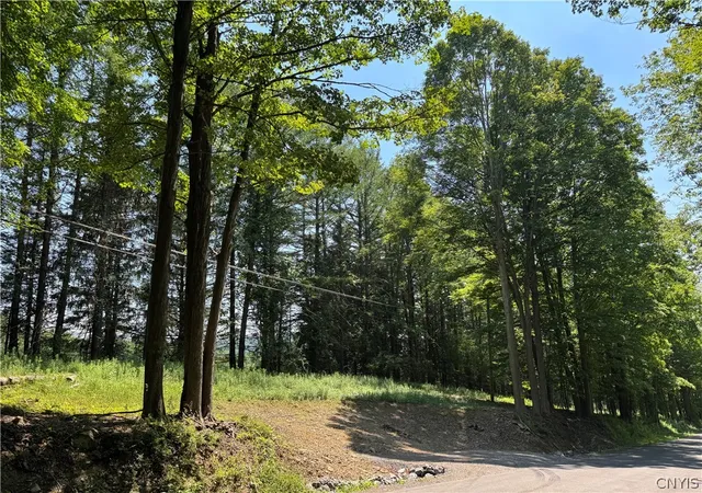4th image of 1 Bonney Hill Rd, Hamilton, NY 13346 | MLS# S1693515