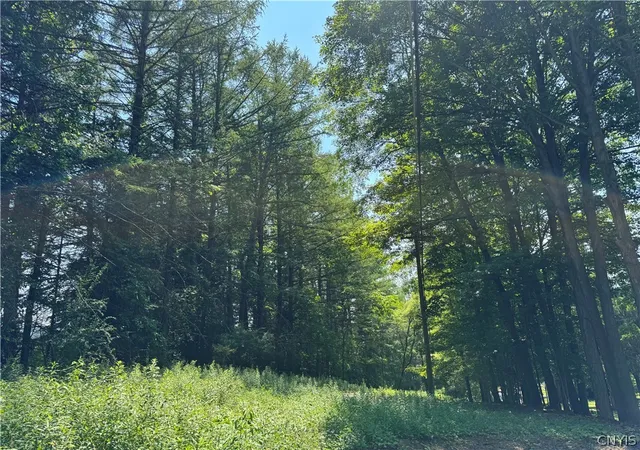 5th image of 1 Bonney Hill Rd, Hamilton, NY 13346 | MLS# S1693515