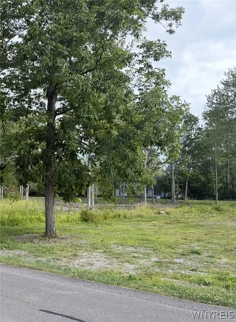 Land for sale at 337 Kennedy Ave, Angola, NY 14006 | MLS# B1698512