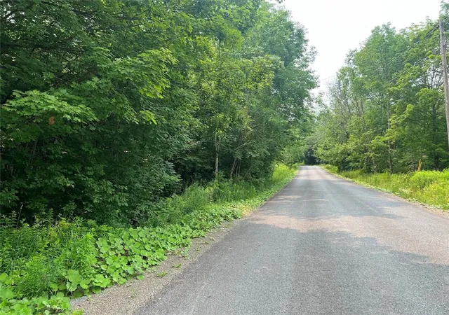 Photo 2 of Land for sale at Bramley Mountain Rd, Delhi, NY 13753 | MLS# R1698523 | Listing updated on 2026-07-19