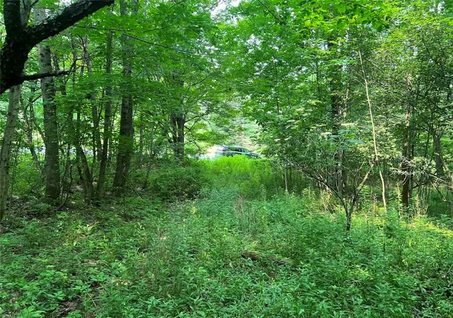 Photo 3 of Land for sale at Bramley Mountain Rd, Delhi, NY 13753 | MLS# R1698523 | Listing updated on 2026-07-19