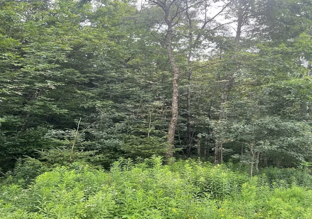 Photo 8 of Land for sale at Bramley Mountain Rd, Delhi, NY 13753 | MLS# R1698523 | Listing updated on 2026-07-19