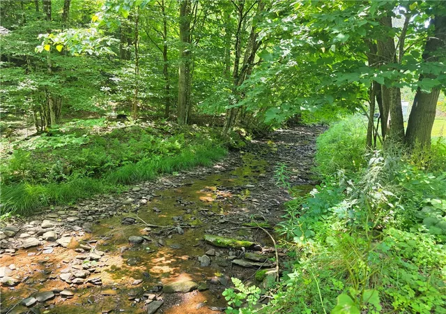 2nd image of 219 Lulu Coon Rd, Butternuts, NY 13849 | MLS# R1689463