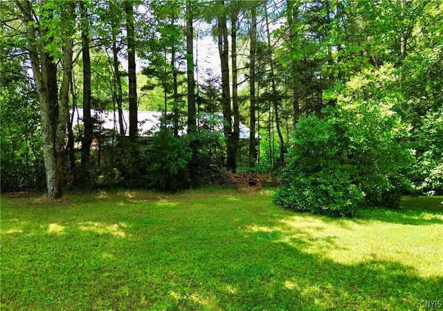 49th image of 687 Curtiss Rd, Little Falls, NY 13365 | MLS# S1699065