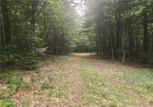 Photo 2 of Sale Pending at Soft Maple Rd, Croghan, NY 13327 | MLS# S1698641 | Listing updated on 2026-07-22