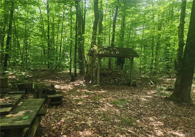 Photo 3 of Sale Pending at Soft Maple Rd, Croghan, NY 13327 | MLS# S1698641 | Listing updated on 2026-07-22