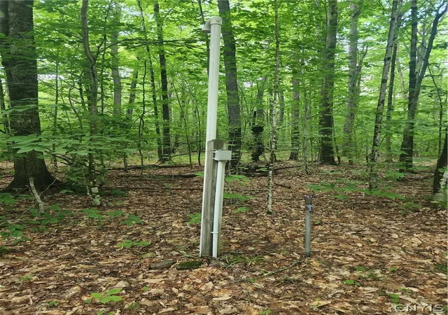 Photo 4 of Sale Pending at Soft Maple Rd, Croghan, NY 13327 | MLS# S1698641 | Listing updated on 2026-07-22