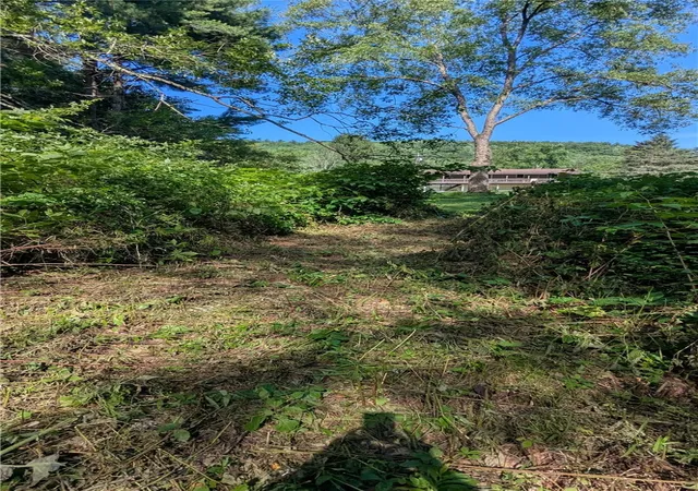 27th image of 725 State Hwy 205, Oneonta, NY 13820 | MLS# R1698868