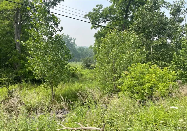 Photo 1 of Land for sale at 9488 Rt 90, Genoa, NY 13071 | MLS# S1698367 | Listing updated on 2026-07-16
