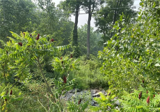 Photo 2 of Land for sale at 9488 Rt 90, Genoa, NY 13071 | MLS# S1698367 | Listing updated on 2026-07-16
