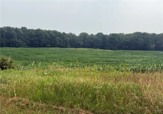 Photo 2 of Sale Pending at Whiskey Ln, Turin, NY 13473 | MLS# S1699249 | Listing updated on 2026-07-22