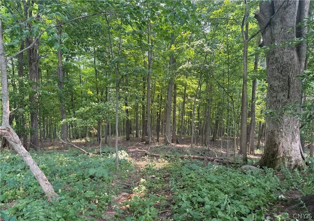 Photo 3 of Sale Pending at Whiskey Ln, Turin, NY 13473 | MLS# S1699249 | Listing updated on 2026-07-22