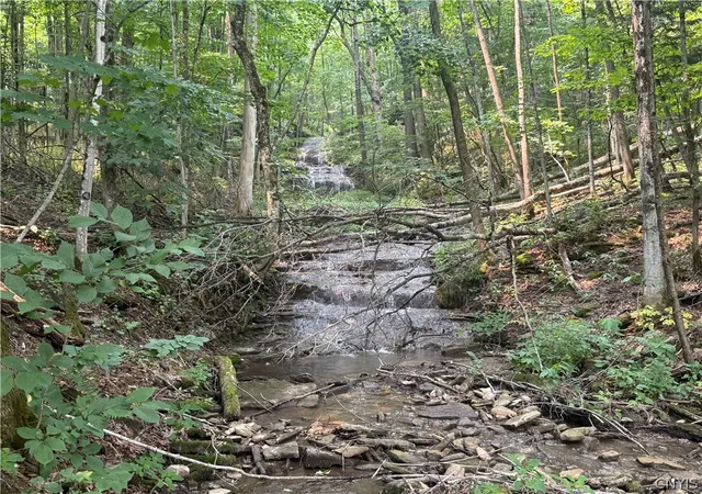 Photo 5 of Sale Pending at Whiskey Ln, Turin, NY 13473 | MLS# S1699249 | Listing updated on 2026-07-22