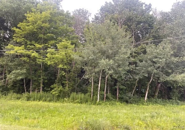 2nd image of Chase Rd, Fulton, NY 13069 | MLS# S1698820
