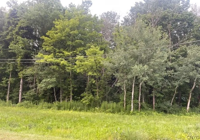 Photo 3 of Land for sale at Chase Rd, Fulton, NY 13069 | MLS# S1698820 | Listing updated on 2026-07-17