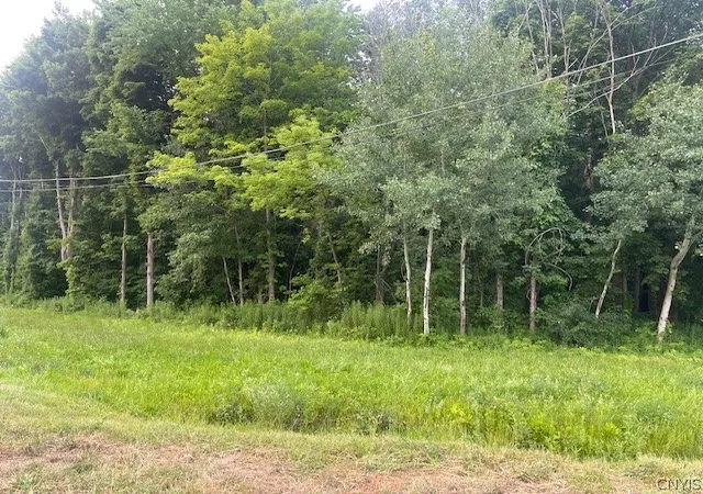 Photo 3 of Land for sale at Chase Rd, Fulton, NY 13069 | MLS# S1698820 | Listing updated on 2026-07-17