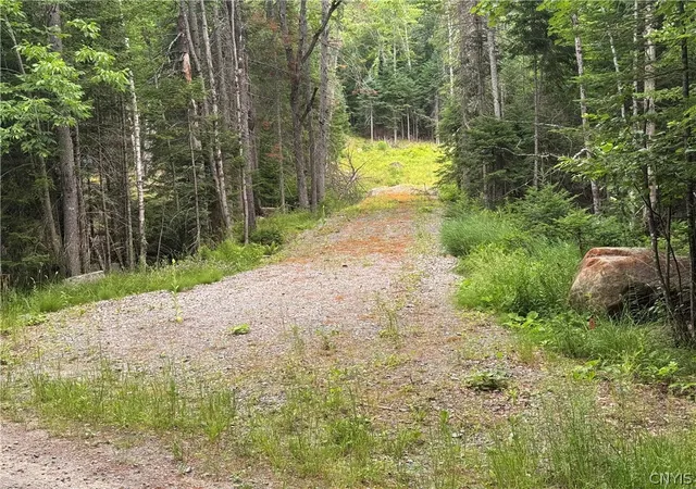 3rd image of L@# Lake Snow Rd, Indian Lake, NY 12842 | MLS# S1698601