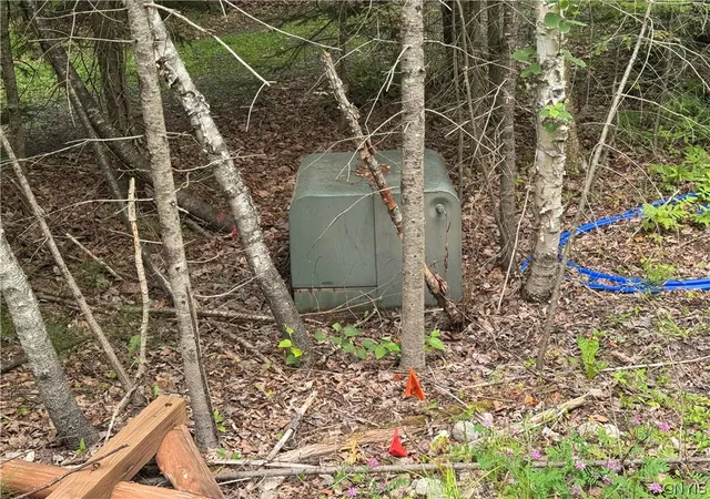 4th image of L@# Lake Snow Rd, Indian Lake, NY 12842 | MLS# S1698601