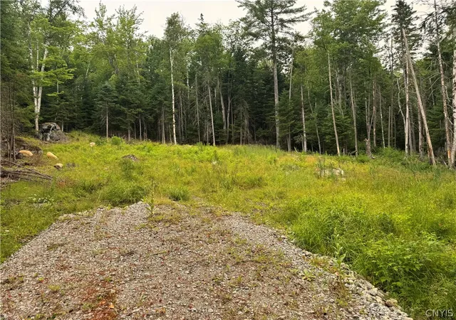 5th image of L@# Lake Snow Rd, Indian Lake, NY 12842 | MLS# S1698601