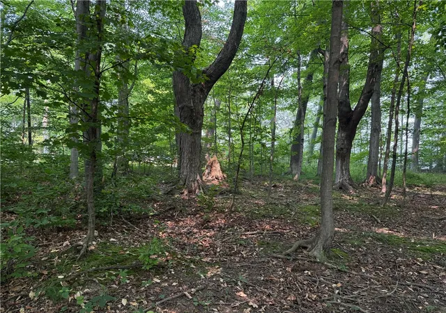 Photo 11 of Sale Pending at 0 Wilson Ext Rd, Albion, NY 14411 | MLS# R1699404 | Listing updated on 2026-07-24