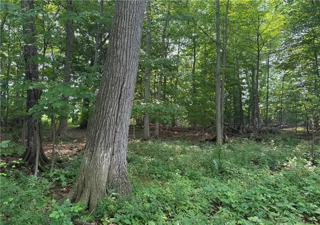 Photo 2 of Sale Pending at 0 Wilson Ext Rd, Albion, NY 14411 | MLS# R1699404 | Listing updated on 2026-07-24