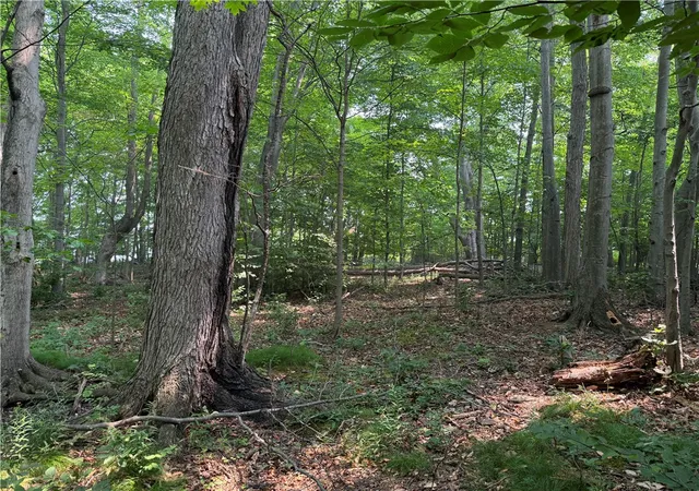 Photo 4 of Sale Pending at 0 Wilson Ext Rd, Albion, NY 14411 | MLS# R1699404 | Listing updated on 2026-07-24