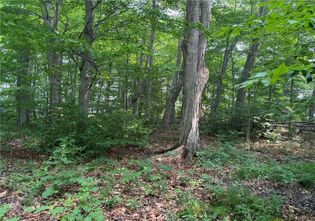 Photo 5 of Sale Pending at 0 Wilson Ext Rd, Albion, NY 14411 | MLS# R1699404 | Listing updated on 2026-07-24