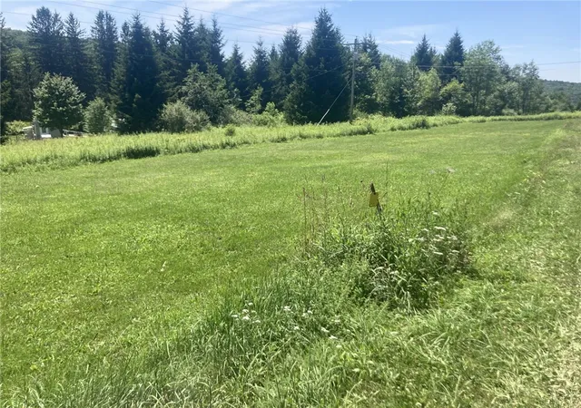 Photo 1 of Land for sale at Herb Bedell Rd, Masonville, NY 13804 | MLS# R1699559 | Listing updated on 2026-07-21