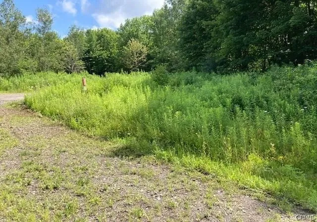 Photo 1 of Land for sale at 2212 Kypriotis Dr, Cortland, NY 13045 | MLS# S1699662 | Listing updated on 2026-07-18