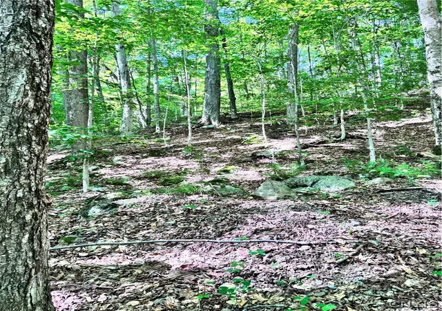 1st image of Oneida Rd, Old Forge, NY 13420 | MLS# S1699676