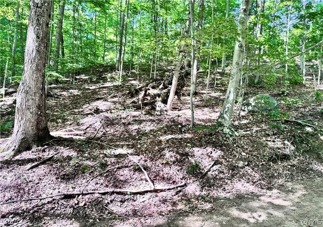 2nd image of Oneida Rd, Old Forge, NY 13420 | MLS# S1699676