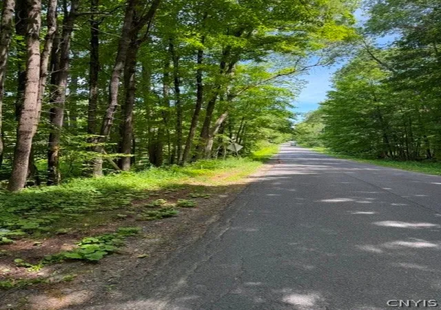 Photo 2 of Land for sale at 10145 Dustin Rd, Remsen, NY 13438 | MLS# S1699708 | Listing updated on 2026-07-18